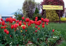 BUSCA EVENTI. La targa di Busca Comune Fiorito